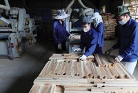 Ngành gỗ đặt mục tiêu xuất khẩu 13 tỷ USD trong năm 2021. Ảnh: Đức Thanh.