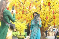 Lễ hội Tết Việt thu hút các bạn trẻ Sài thành đến vui chơi