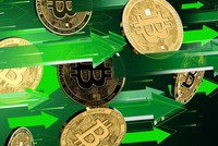 Giá Bitcoin hôm nay ngày 29/1: Bitcoin hồi phục trở lại trên mốc 33.000 USD, tuy nhiên đồng Dogecoin tăng trưởng hơn 500% mới là tâm điểm của sự chú ý
