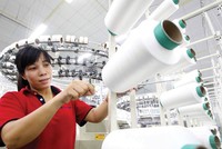 Ngành sợi nói chung và SVD nói riêng vẫn còn không ít khó khăn.