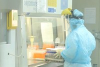 Nhân viên CDC Hà Nội làm xét nghiệm COVID-19. (Ảnh: Minh Quyết/TTXVN).