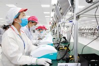 Cùng với sự phát triển của thương hiệu Quốc gia Việt Nam, giá trị thương hiệu của các doanh nghiệp Việt cũng gia tăng mạnh.