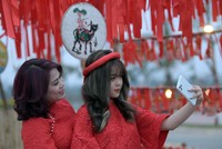 Rực rỡ sắc hoa Home Hanoi Xuân 2021