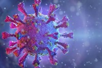 Virus SARS-CoV-2. Ảnh: Shutterstock.