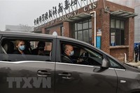 Các thành viên đoàn chuyên gia của WHO tới Viện virus ở thành phố Vũ Hán của Trung Quốc để điều tra về nguồn gốc của virus SARS-CoV-2 gây bệnh COVID-19. (Ảnh: AFP/TTXVN).