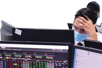 "Ôm" cổ phiếu RIC ở vùng đỉnh, nhà đầu tư mất kha khá tiền.