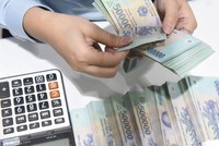 Nhiều ngân hàng như Sacombank, BIDV, VietinBank, Agribank, Kienlongbank... liên tiếp rao bán tài sản thế chấp là bất động sản nhằm thu hồi nợ.