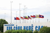 Thêm “vệ tinh” đón đại bàng đến làm tổ