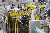 Ảnh minh họa. (Nguồn: Minh Sơn/Vietnam+).