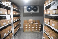 Lô vaccine phòng COVID-19 Việt Nam tiếp nhận từ COVAX Facility, với sự hỗ trợ của UNICEF, WHO, GAVI và CEPI. (Ảnh: Văn Ngân/VOV.VN).