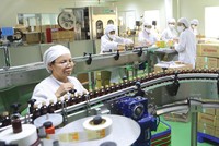 Quý I/2021, ước doanh thu và lợi nhuận của Traphaco tăng 20% và 33% so với cùng kỳ 2020. Ảnh: Dũng Minh.