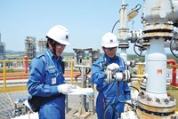 Hiệu quả kinh doanh của nhiều doanh nghiệp dầu khí dự báo cải thiện trong quý I.