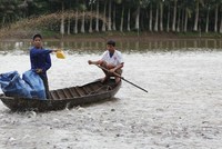 Các doanh nghiệp thủy sản đang nhìn thấy rõ ảnh hưởng của việc giá thức ăn chăn nuôi tăng. Ảnh Dũng Minh