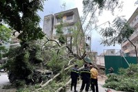 Nơi xảy ra sự việc.