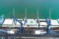 PVFCCo thực hiện các đơn hàng xuất khẩu với khối lượng lớn nhất từ trước tới nay.