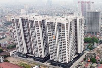 Dự án Sky Central 176 Định Công cơ bản đã hoàn thành bàn giao, nên doanh thu, lợi nhuận ghi nhận trong năm 2021 không còn nhiều.