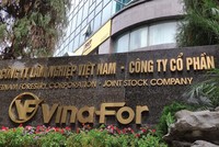 Vinafor sở hữu nhiều lô đất vàng tại Hà Nội. Ảnh: Dũng Minh.