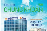Đầu tư Chứng khoán số 17/2021