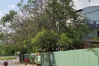 Anh D. được đưa vào khu cách ly tập trung phòng dịch Covid-19 của Thành phố Bạc Liêu.