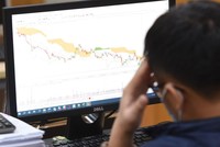 Trong hai tuần qua, VN-Index điều chỉnh nhẹ, nhưng các cổ phiếu vốn hóa trung bình giảm giá mạnh.