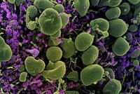 Ảnh minh họa. (Nguồn: AFP/TTXVN).