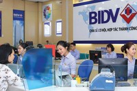 Chi phí dự phòng là nhân tố “ăn mòn” lợi nhuận của BIDV những năm qua.