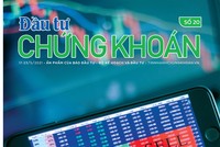 Đầu tư Chứng khoán số 20/2021