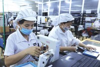 Giá nguyên liệu đầu vào sản xuất nông nghiệp và công nghiệp đều đang tăng mạnh.