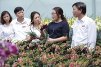 Agribank tích cực góp phần phát triển nông nghiệp bền vững gắn với xây dựng nông thôn mới.