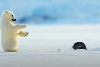 Xin chào bạn, có phải mình là người bạn đang tìm kiếm?