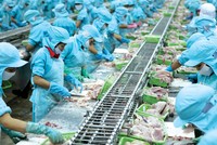 Doanh nghiệp thủy sản trên đà hồi phục