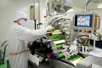 Ngành dược tiếp tục được đánh giá cao trong năm nay. Ảnh: Dũng Minh.