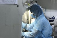 Phát hiện 6 mẫu gộp và 1 mẫu đơn dương tính tại BV Ung bướu TP.HCM.