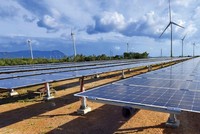 Nóng, lạnh cổ phiếu điện