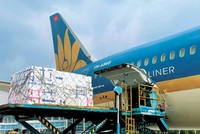 Để có nguồn thu, các tàu thân rộng của Vietnam Airlines đều được tháo ghế để chở hàng.