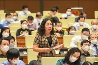 Bà Trần Thị Hiền, đại biểu Quốc hội tỉnh Hà Nam phát biểu tại Hội trường sáng 27/7.