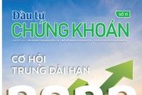 Đầu tư Chứng khoán số 31/2021