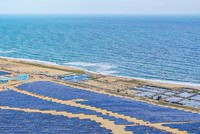 Đến nay, BCG đã hoàn thành 462,6 MW điện mặt trời, công suất vận hành của các nhà máy đều vượt dự kiến.