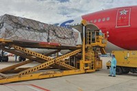 Lô hàng viện trợ từ Thụy Sỹ. (Ảnh: PV/Vietnam+).