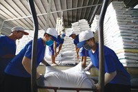 Dịch bệnh Covid-19 bùng phát làm đứt gãy chuỗi cung ứng xuất khẩu lúa gạo.