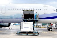 Lô vaccine AstraZeneca mới nhất vừa được chuyển đến sân bay Tân Sơn Nhất sáng 27/8.