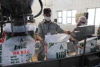 Đạm Hà Bắc (DHB) chìm trong thua lỗ