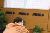 Với cổ phiếu thanh khoản thấp, khả năng tăng giá hay giảm giá hoàn toàn trong tay nhóm cổ đông chi phối doanh nghiệp.