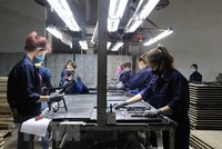 Công nhân làm việc tại Công ty TNHH Quốc tế Bright Việt Nam, huyện Thuận Thành, tỉnh Bắc Ninh. (Ảnh: Thái Hùng/TTXVN).