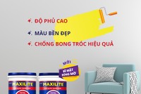 Maxilite và những điều thú vị ít người biết