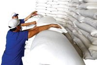 Xuất khẩu gạo Việt Nam năm 2021 dự báo đạt 6 triệu tấn, giảm 4% so với năm 2020. Ảnh: Dũng Minh.