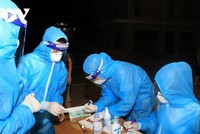 15/21 địa phương ở Nghệ An trở về trạng thái bình thường mới.