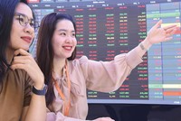 Thị trường chứng khoán đang tạo cơ hội kiếm lời cho nhiều nhà đầu tư mới.