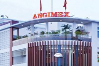 Biên lợi nhuận của Angimex thấp hơn nhiều so với các doanh nghiệp cùng ngành.
