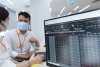 Các nhà đầu tư F0 thường có xu hướng ưa chuộng cổ phiếu thị giá thấp.